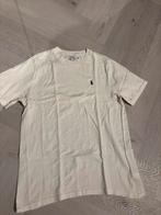 Aps nieuw: mooi tshirt POLO RALPH LAUREN mt XL, Kinderen en Baby's, Kinderkleding | Maat 170, Ophalen of Verzenden, Zo goed als nieuw
