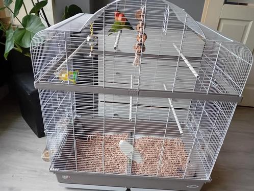 Vogel kooi, Dieren en Toebehoren, Vogels | Hokken en Kooien, Zo goed als nieuw, Volière, Aluminium, Ophalen
