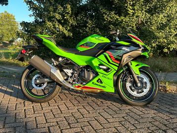 Kawasaki NINJA 500 SE (bj 2025) beschikbaar voor biedingen
