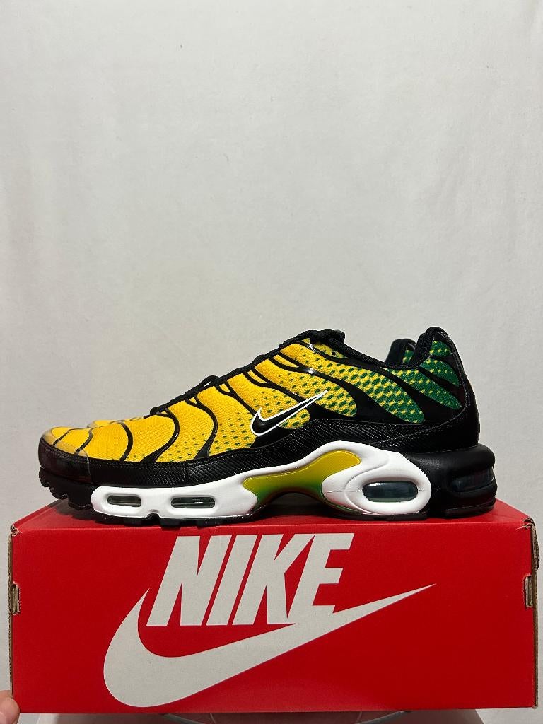 NIEUW IN DOOS! Maat 49,5 - Nike Air Max Plus Varsity Green, Overige kleuren, Verzenden, Nike, Nieuw
