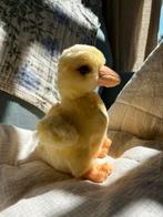 Steiff Eendje Kuiken - Nieuwstaat!, Ophalen of Verzenden, Nieuw, Eend