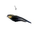 Vogelverschrikker, Dieren en Toebehoren, Vogels | Duiven, Meerdere dieren, Overige soorten