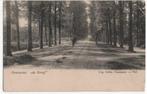AK ~ Ophemert ~ "de Dreef" ~ ca. 1900, Verzenden, Voor 1920, Ongelopen, Gelderland