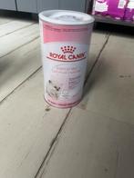 Kitten melk te koop, Dieren en Toebehoren, Dierenvoeding, Ophalen, Kat