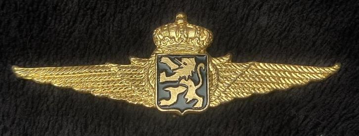 WINGS embleem Belgische Luchtmacht, Verzamelen, Militaria | Algemeen, Landmacht, Embleem of Badge, Overige gebieden, Ophalen of Verzenden