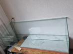 Glazen cavia hok 150x49, Dieren en Toebehoren, Knaagdieren en Konijnen | Hokken en Kooien, Hok, Cavia, Ophalen, Minder dan 60 cm