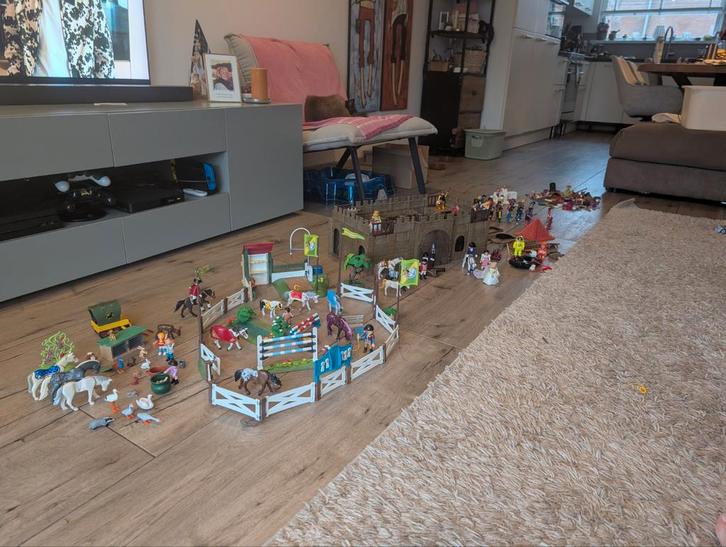 Grote Playmobil verzameling, Kinderen en Baby's, Speelgoed | Playmobil, Gebruikt, Los playmobil, Ophalen
