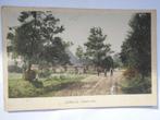 Barneveld bij Barneveld Gelders landschap met paardenwagen, Gelopen, Gelderland, 1920 tot 1940, Verzenden