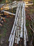 Tuinhout decoratie witte rechte berken stam +div. Struiken., Ophalen