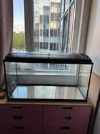 Aquarium 100cm (200L) voor schildpad of vissen en toebehoren, Dieren en Toebehoren, Ophalen, Gebruikt, Leeg aquarium