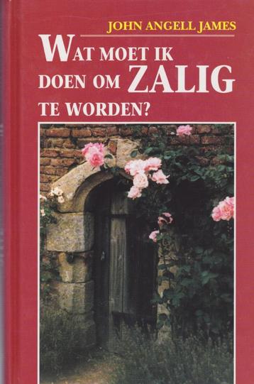 JOHN ANGEL JAMES - WAT MOET IK DOEN OM ZALIG TE WORDEN? beschikbaar voor biedingen