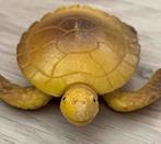 LEUKE SCHILDPAD SPEELGOED, Ophalen of Verzenden, Overige typen