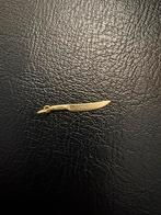 Hanger koksmes 14 karaat goud, Ophalen of Verzenden, Zo goed als nieuw, Goud, Oor- of Traguspiercing