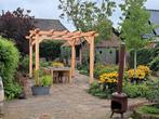 Robuuste douglas pergola's en overkappingen, Tuin en Terras, Tuinsets en Loungesets, Nieuw, Ophalen of Verzenden, Hout