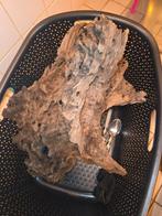 2 grote stukken kien hout te koop, Dieren en Toebehoren, Ophalen, Gebruikt, Plant(en), Steen of Hout