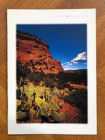 Jeep Wrangler folder 1998, Boeken, Auto's | Folders en Tijdschriften, Verzenden, Nieuw, Overige merken, Chrysler-Jeep