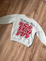 Trui Zara maat 140 rolling stones, Ophalen of Verzenden, Zo goed als nieuw, Meisje, Trui of Vest
