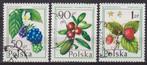 3Polen 1973 Vruchten bramen kersen aardbeien, Ophalen of Verzenden, Gestempeld, Dier of Natuur