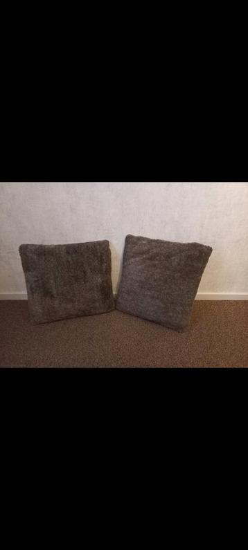 Twee sierkussens beschikbaar voor biedingen