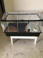 Cavia kooi, Minder dan 60 cm, Kooi, Ophalen of Verzenden, Zo goed als nieuw