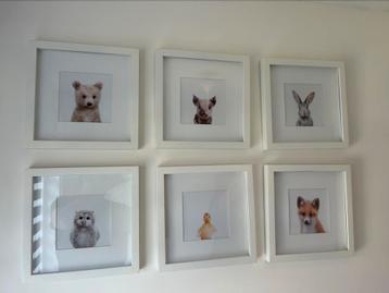 Fotolijsten = 6, 30 x 30 cm babykamer beschikbaar voor biedingen