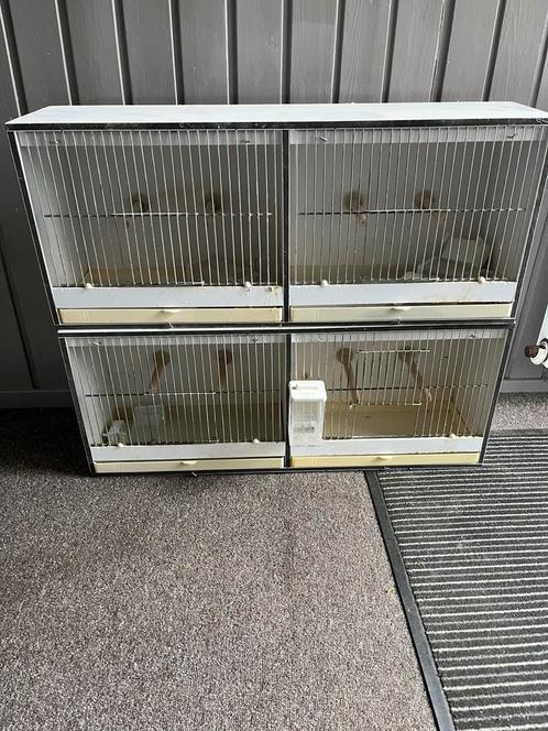 6x Kunstof trainings kooien, Dieren en Toebehoren, Vogels | Hokken en Kooien, Zo goed als nieuw, Broedkooi of Kweekkooi, Kunststof
