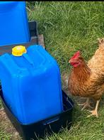 Drinkbak voor kippen, makkelijk schoon maken, Dieren en Toebehoren, Pluimvee | Toebehoren, Ophalen of Verzenden, Drinken en Voederen