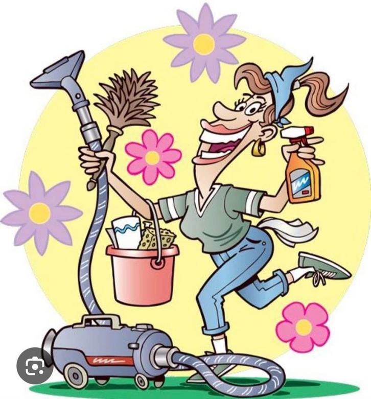 Aangeboden huishoudelijke hulp, Vacatures, Vacatures | Schoonmaak en Facilitaire diensten, Vanaf 10 jaar, Overige vormen