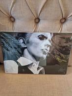 David Bowie reclamebord, Verzamelen, Muziek, Artiesten en Beroemdheden, Nieuw, Ophalen of Verzenden, Poster, Artwork of Schilderij