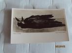 ansichtkaart twee doode roeken - floris verster, Ophalen of Verzenden, Ongelopen, Overige thema's