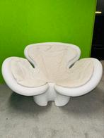 Vgnewtrend Pansé design fauteuil, Ophalen, A, A, A