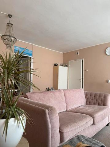 BANKSTEL ROZE 