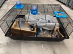 Hamsterkooi met toebehoren, Minder dan 60 cm, Kooi, Gebruikt, Minder dan 75 cm