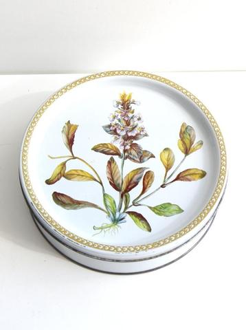 Mooi vintage koekjesblik, botanisch in erg goede staat beschikbaar voor biedingen