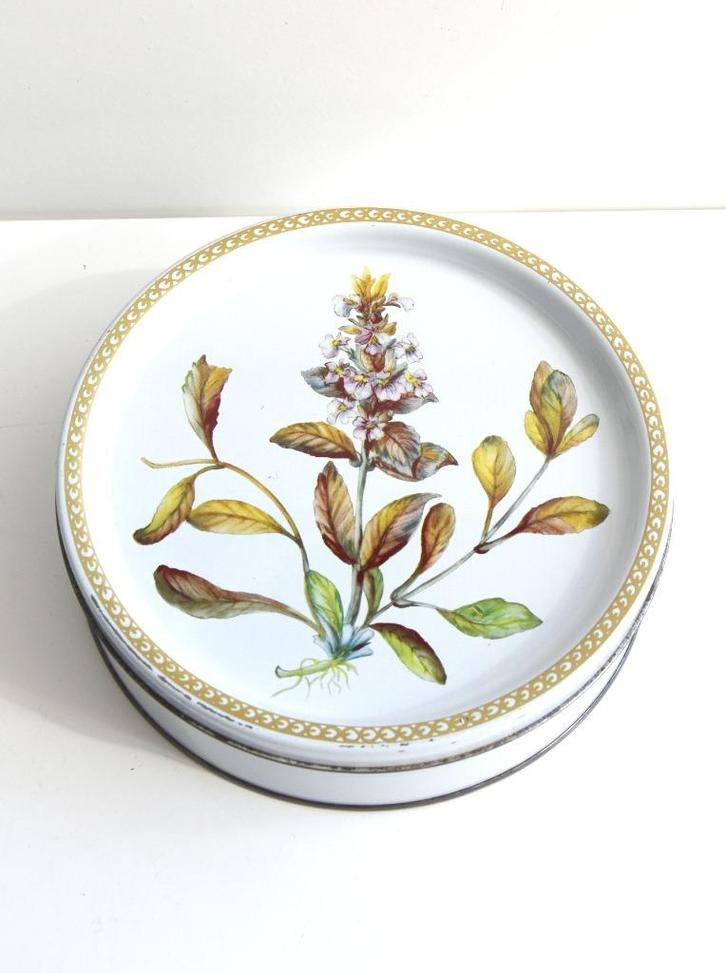 Mooi vintage koekjesblik, botanisch in erg goede staat, Verzamelen, Blikken, Gebruikt, Koek(jes), Ophalen of Verzenden