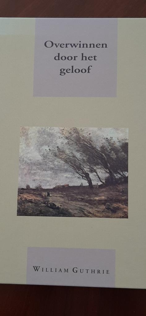 Overwinnen door het geloof, William Guthry, Boeken, Godsdienst en Theologie, Nieuw, Christendom | Protestants, Ophalen of Verzenden