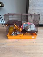 Hamsterkooi, Kooi, Minder dan 75 cm, Zo goed als nieuw, Ophalen