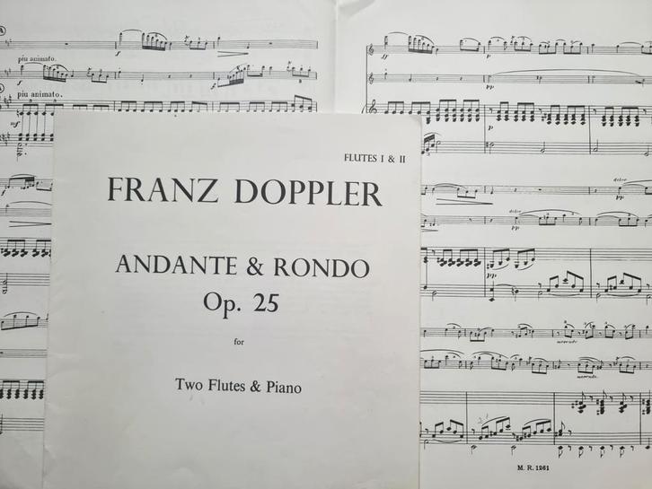 Franz Doppler.  Andante & Rondo. 2 Flutes & Piano, Muziek en Instrumenten, Bladmuziek, Zo goed als nieuw, Artiest of Componist