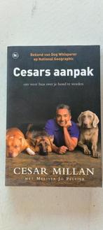 Cesars aanpak Om weer baas over je hond te worden, Boeken, Ophalen of Verzenden, Zo goed als nieuw, Honden, Cesar Millan