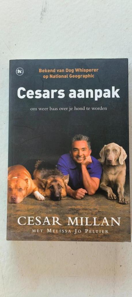 Cesars aanpak Om weer baas over je hond te worden, Boeken, Dieren en Huisdieren, Zo goed als nieuw, Honden, Ophalen of Verzenden