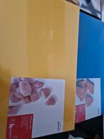 2 x horeca snijplanken Lacor kip , vis professioneel 53cm, Ophalen of Verzenden, Nieuw