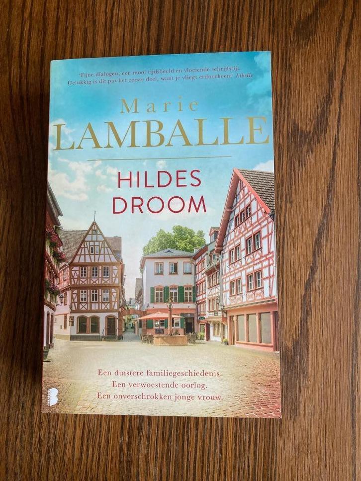 Hildes droom Marie Lamballe, Boeken, Romans, Gelezen, Ophalen of Verzenden
