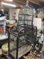 Prachtige oude pagode vogelkooi, Ophalen