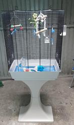 Vogelkooi op standaard, Dieren en Toebehoren, Vogels | Hokken en Kooien, Ophalen, Metaal, Vogelkooi