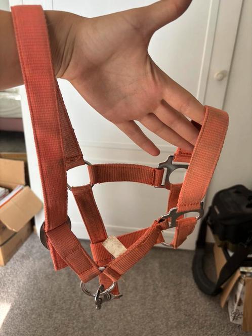 Leuk koraal pony halster, Dieren en Toebehoren, Paarden en Pony's | Hoofdstellen en Tuigage, Gebruikt, Overige soorten, Ophalen of Verzenden