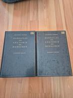 Handatlas der Anatomie des Menschen - Spalteholz-Spanner, Boeken, Gelezen, Medisch, Complete serie, Ophalen of Verzenden