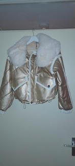 Leuke, korte winterjas van het merk Softy Nieuw!, Kleding | Dames, Jassen | Winter, Maat 38/40 (M), Overige kleuren, Nieuw, Ophalen of Verzenden