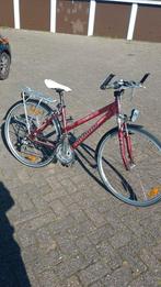 Author de luxe, Fietsen en Brommers, Gebruikt, 56 cm of meer, Meer dan 20 versnellingen, Ophalen