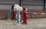 Opvallend mooie allround D pony., Dieren en Toebehoren, Pony's, Merrie, 3 tot 6 jaar, Gechipt, Onbeleerd