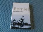 Bernlef Een jongensoorlog, Boeken, Romans, Ophalen of Verzenden, Zo goed als nieuw